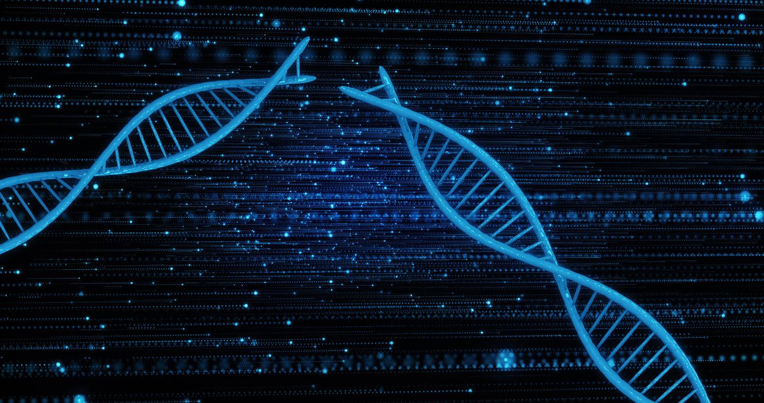 Iron Peptides
